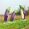蔬菜农场玻璃钢大型茄子雕塑地理标志定制厂