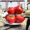 休闲农场番茄西红柿雕塑地理标志定制厂家