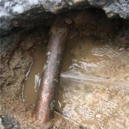 惠州市大小工厂地下管道漏水检测