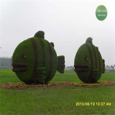 鄢陵县爱心绿雕造型厂家电话