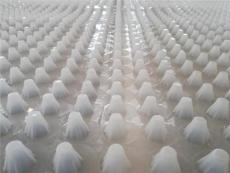 湖南30高塑料排水板源头厂家