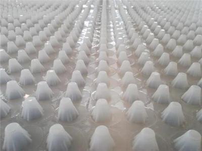 湖南30高塑料排水板源头厂家