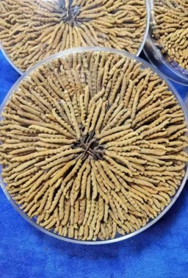 昆明盘龙区正规回收老酒价格表