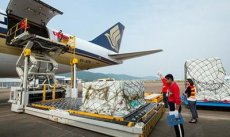 白云機場礦石空運進(jìn)口清關(guān)公司