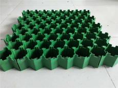 新疆塑料植草格单价