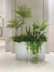 淀山湖室內植物租賃報價