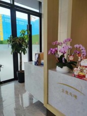 黎里專業綠植租擺價格多少