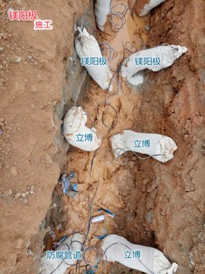 湘潭电厂埋地镁合金牺牲阳极哪家好