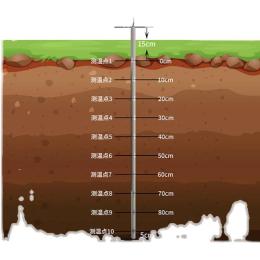 CG-65細管式溫度傳感器 多點溫度變送器說明