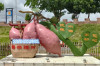 地瓜主题公园玻璃钢红薯雕塑地理标志定制厂