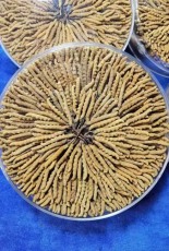 昆明盘龙区上门回收大重九的店哪里有