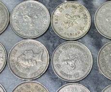 卢湾区退市旧老钱币回收服务热线