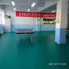塑胶乒乓球地板 奥丽奇品牌全国安装施工