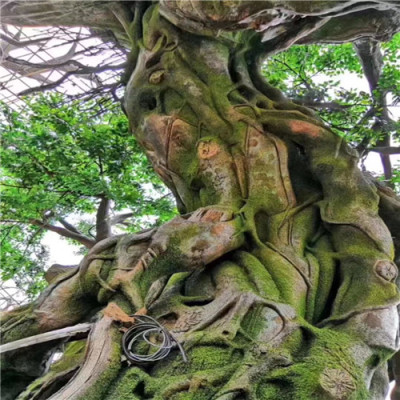 福建塑石假山厂家