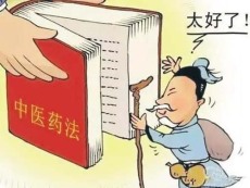 眉山中医师承什么意思