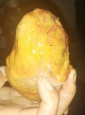徽州豬寶收購聯系方式