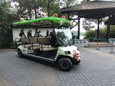 張家口綠之源游覽觀光車多少錢一輛