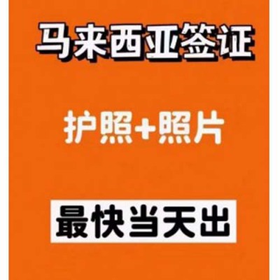 马来西亚应该如何办理电子签证需要什么资料