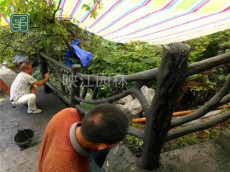 興山縣水庫護欄設計施工