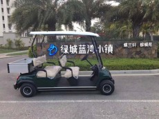 紹興綠之源高爾夫觀光車哪里買