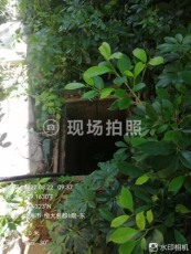 龍潭鎮菌種轉運怎么收費
