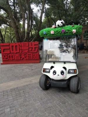云南公园电动高尔夫观光车多少钱