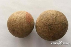 驻马店500克牛宝免费鉴定