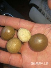 宜春50克羊宝的价值