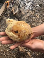天津鹅宝收购中心