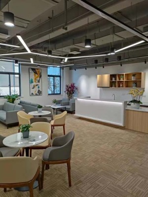 东渚办公室绿植养护租赁市场地址