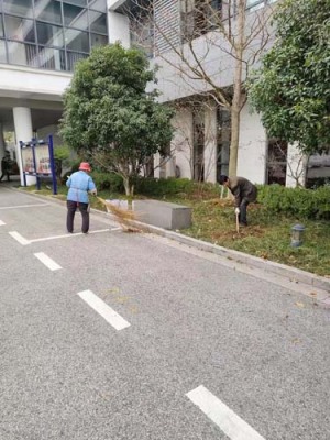 香山办公室租摆绿植平台