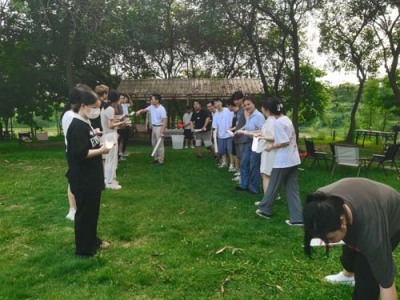 团建训练高性价比