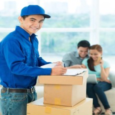 厦门到荷兰跨境电商小包UPS红单