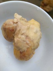 上饒收購雞寶機構