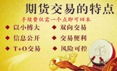 德宏傣族景頗族自治州國際期貨恒指代理