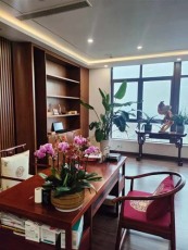東渚辦公綠植租擺大概多少錢