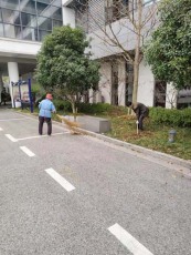 虞山花卉出租租賃大概多少錢
