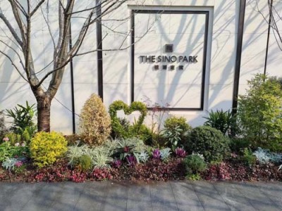 塘桥办公室租摆绿植怎么收费