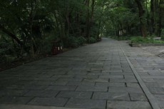 阿拉善盟青石板石材地砖