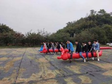 广州市正规拓展培训公司度假村
