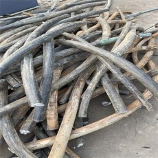 珠海闲置特种电缆回收价格