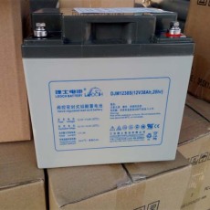 扬州消防照明理士蓄电池DJM12100S原装正品