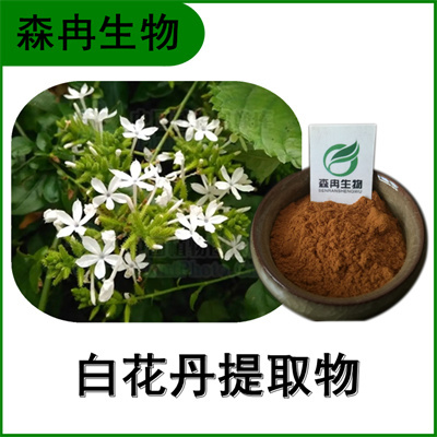 森冉生物 白花丹提取物 假茉莉提取物