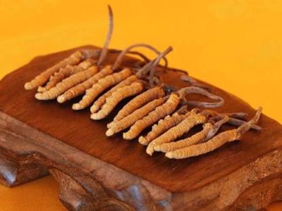 思明区现在冬虫夏草回收价格