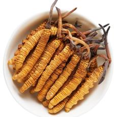 罗源县哪里回收冬虫夏草