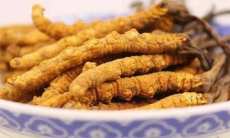 福鼎市回收冬虫夏草商家联系方式
