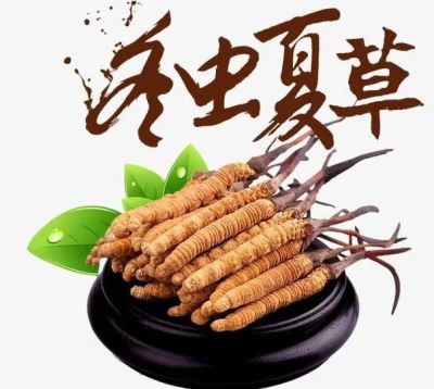 漳州市发霉冬虫夏草回收价格