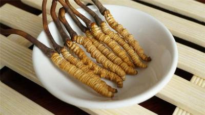 漳州东山冬虫夏草回收商家-回收虫草价格
