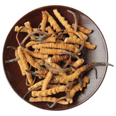 梅列区现在冬虫夏草回收价格