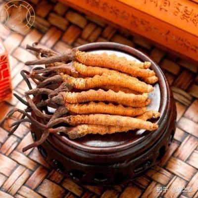 沙县现在冬虫夏草回收价格